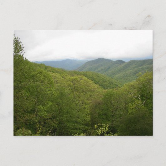 Blue Ridge Mountains, North Carolina Briefkaart (Voorkant)