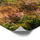 Blue Ridge Mountains Print (Hoek)