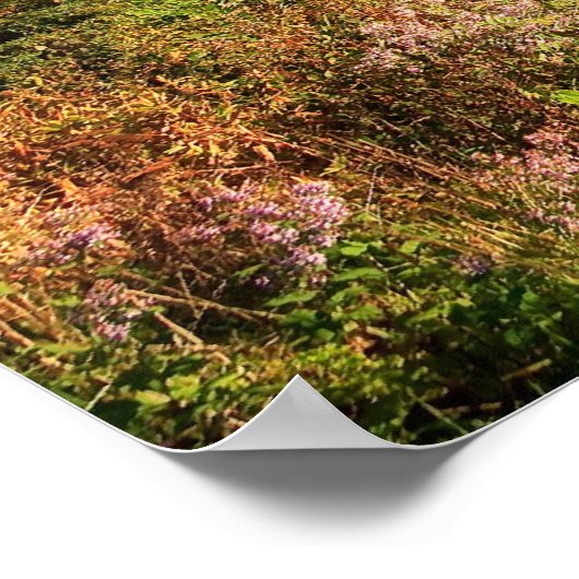 Blue Ridge Mountains Print (Hoek)