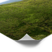 Blue Ridge Mtns gezien van Blue Ridge Parkway, NC Poster (Hoek)