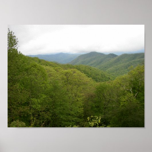 Blue Ridge Mtns gezien van Blue Ridge Parkway, NC Poster (Voorkant)