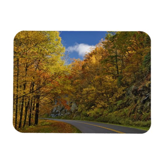 Blue Ridge Parkway die door herfstkleuren stroomt Magneet (Horizontaal)