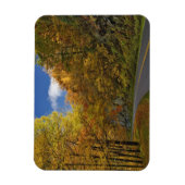 Blue Ridge Parkway die door herfstkleuren stroomt Magneet (Verticaal)