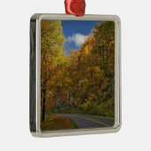 Blue Ridge Parkway die door herfstkleuren stroomt Metalen Ornament (Rechts)