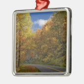 Blue Ridge Parkway die door herfstkleuren stroomt Metalen Ornament (Links)