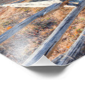 Blue Ridge Parkway en Grandfather Mountain Foto Afdruk (Hoek)