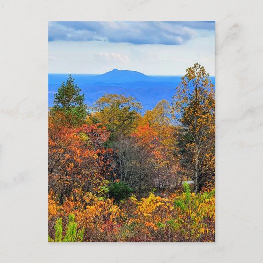 Blue Ridge Parkway Herfst Overlook of Pilot Mounta Briefkaart (Voorkant)