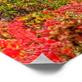 Blue Ridge Parkway Herfst Overlook of Pilot Mounta Poster (Hoek)