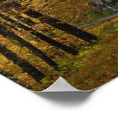 Blue Ridge Parkway kronkelend door herfstkleuren Poster (Hoek)