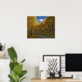 Blue Ridge Parkway kronkelend door herfstkleuren Poster (Thuiskantoor)