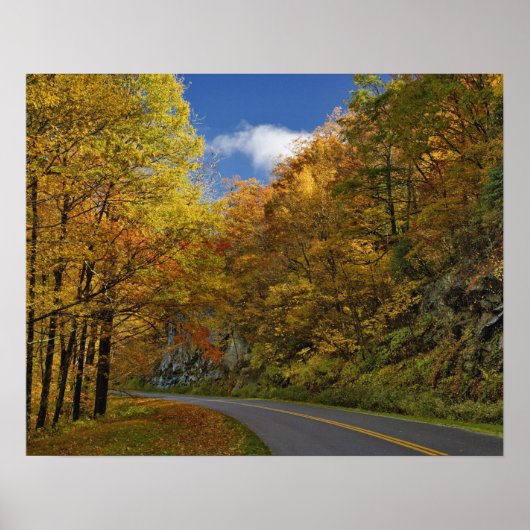 Blue Ridge Parkway kronkelend door herfstkleuren Poster (Voorkant)