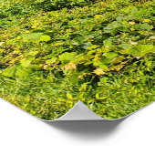 Blue Ridge Parkway Wolken Poster (Hoek)
