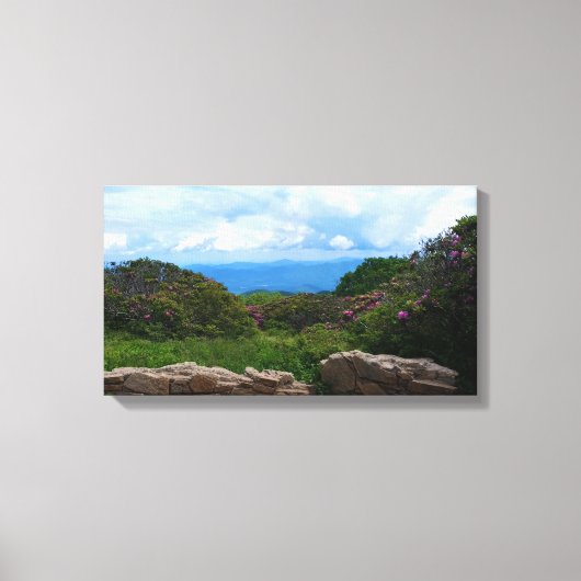 Blue Ridge Spring Canvas Print (Voorkant)
