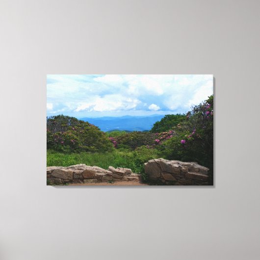 Blue Ridge Spring Canvas Print (Voorkant)