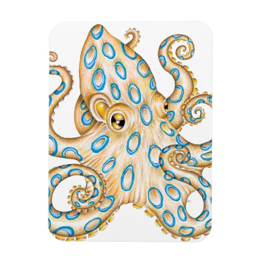 Blue ring Octopus on White Ink Magneet (Verticaal)