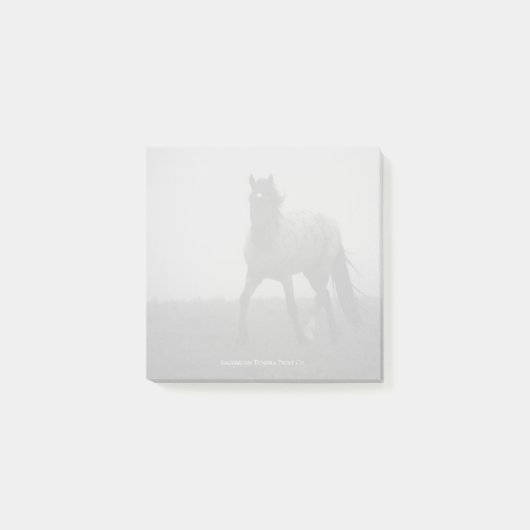 Blue Roan Mist - 3" x 3" Notities Post-it® Notes (Voorkant)
