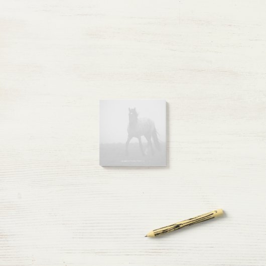 Blue Roan Mist - 3" x 3" Notities Post-it® Notes (Op bureau)