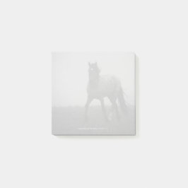 Blue Roan Mist - 3" x 3" Post-it Notes
