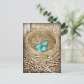 Blue Robin Egg Photographic Briefkaart (Staand voorkant)