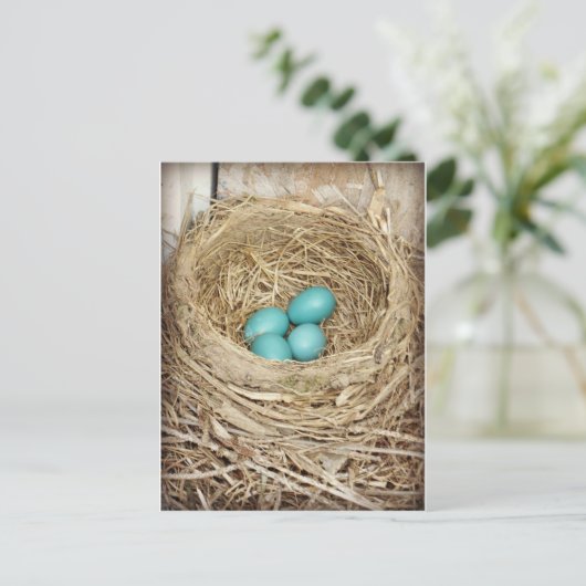 Blue Robin Egg Photographic Briefkaart (Staand voorkant)