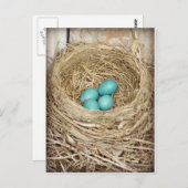 Blue Robin Egg Photographic Briefkaart (Voorkant / Achterkant)