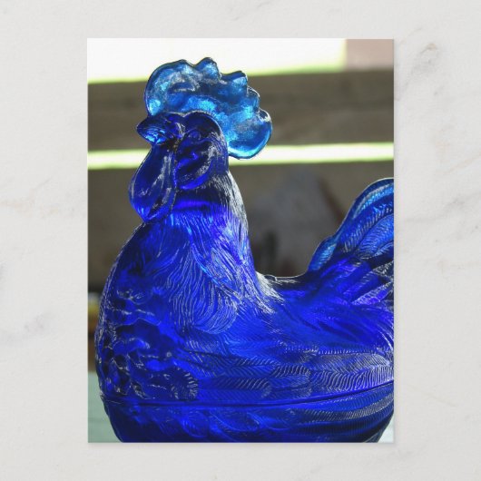 Blue Roo Briefkaart (Voorkant)