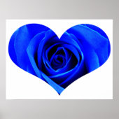 Blue Roos Heart Poster (Voorkant)