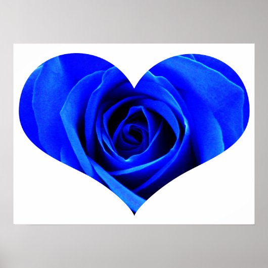 Blue Roos Heart Poster (Voorkant)