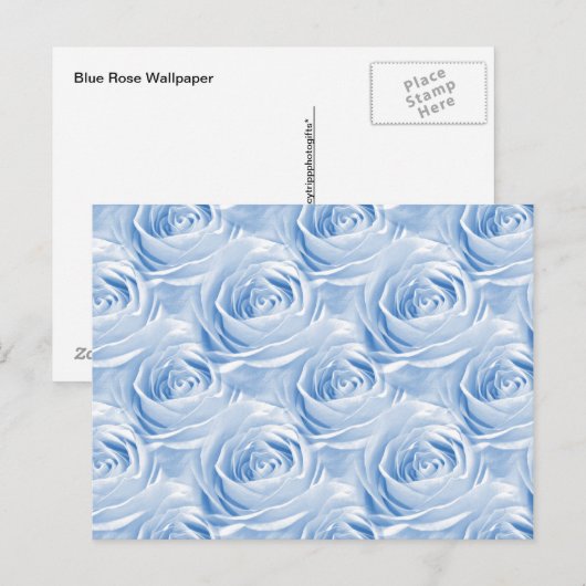 Blue Roos Wallpaper Patroon Briefkaart (Voorkant / Achterkant)