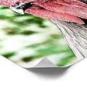 Blue Rooster Digital Art Poster (Hoek)