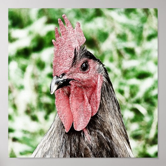 Blue Rooster Digital Art Poster (Voorkant)