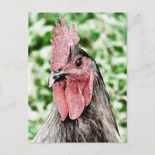 Blue Rooster Digitale Kunst Briefkaart
