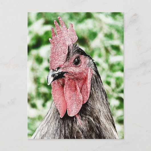 Blue Rooster Digitale Kunst Briefkaart (Voorkant)