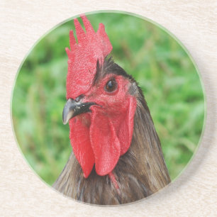 Blue Rooster Zandsteen Onderzetter