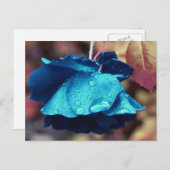 Blue Rose Flower Personalized Briefkaart (Voorkant / Achterkant)