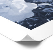 Blue Roses Floral Garden Photo Art Print Poster (Hoek)