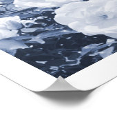 Blue Roses Floral Garden Photo Art Print Poster (Hoek)