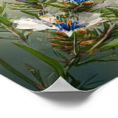 Blue Rozemarijn Bloemen Art Print Poster (Hoek)