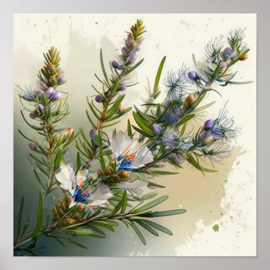 Blue Rozemarijn Bloemen Art Print Poster (Voorkant)