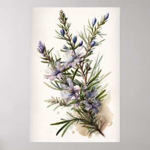 Blue Rozemarijn Bloemen Art Print Poster
