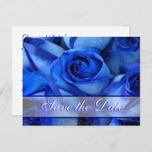Blue Rozen Invitation-customize Aankondigingskaart (Voorkant / Achterkant)