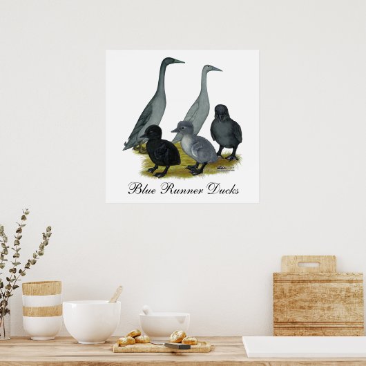 Blue Runner Duck Family Poster (Keuken)