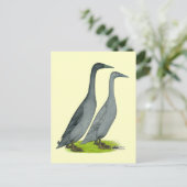 Blue Runner Ducks Briefkaart (Staand voorkant)