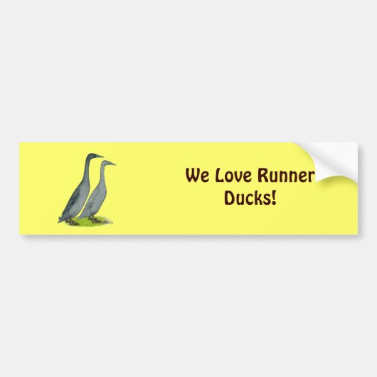 Blue Runner Ducks Bumpersticker (Voorkant)