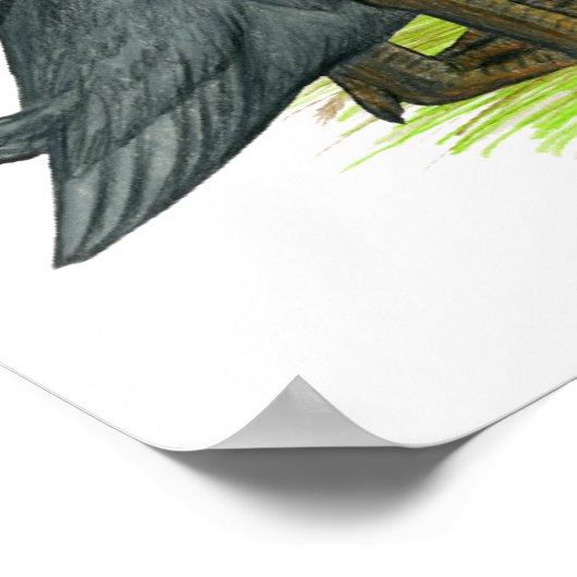 Blue Runner Ducks Poster (Hoek)