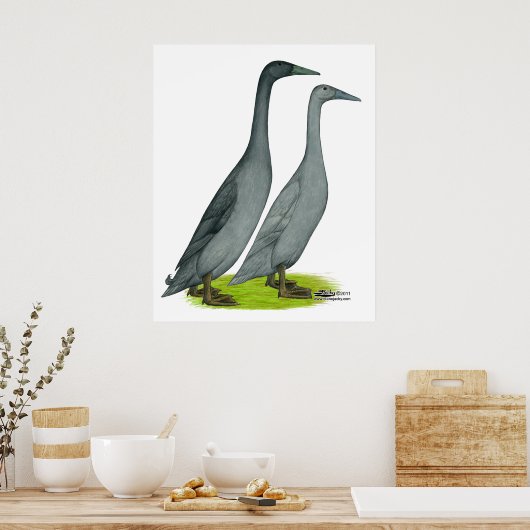 Blue Runner Ducks Poster (Keuken)