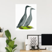 Blue Runner Ducks Poster (Thuiskantoor)
