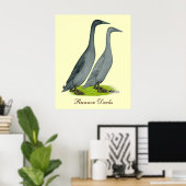 Blue Runner Ducks Poster (Thuiskantoor)