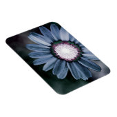 Blue Rustic Daisy Flexible Photo Magnet Magneet (Rechterzijde)