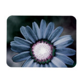 Blue Rustic Daisy Flexible Photo Magnet Magneet (Horizontaal)